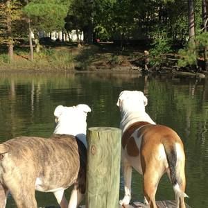 Meet your Posher, Meredith